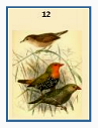 Dianne Ames - Lenormand GT Worksheet