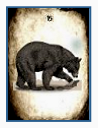 Dianne Ames - Lenormand GT Worksheet