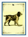 Dianne Ames - Lenormand GT Worksheet