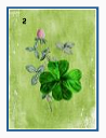 Dianne Ames - Lenormand GT Worksheet