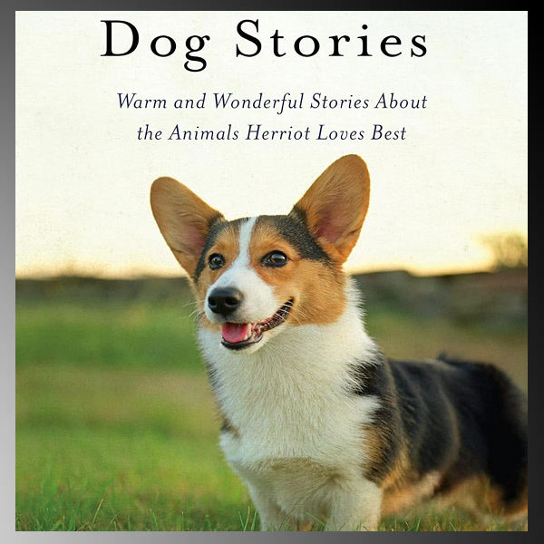 Dianne Ames - Doggie Days