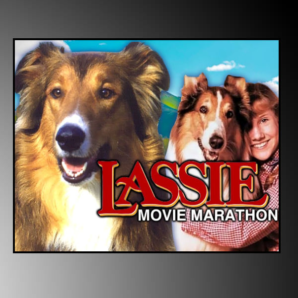 Dianne Ames - Doggie Days