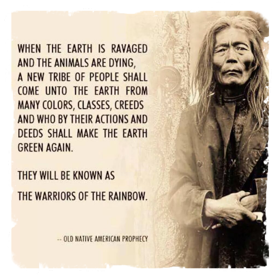 Dianne Ames - Native American Spirituality